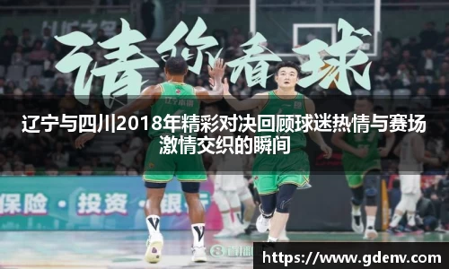 辽宁与四川2018年精彩对决回顾球迷热情与赛场激情交织的瞬间