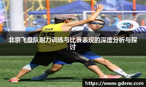 北京飞盘队耐力训练与比赛表现的深度分析与探讨