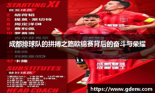 成都排球队的拼搏之路欧锦赛背后的奋斗与荣耀