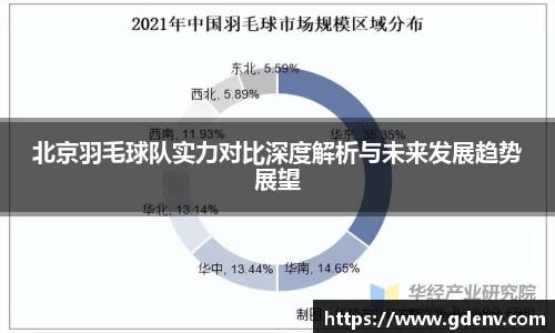 北京羽毛球队实力对比深度解析与未来发展趋势展望