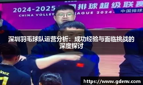 深圳羽毛球队运营分析：成功经验与面临挑战的深度探讨